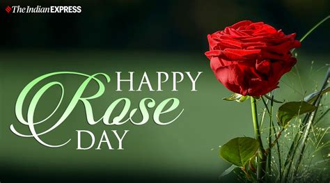 rose day 2021 list|national rose day.